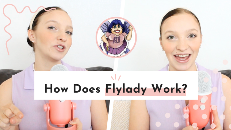 How Does Flylady Work? | the Ultimate Flylady Starter Guide